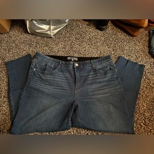 WIT & WISDOM HIGH RISE SKINNY JEANS